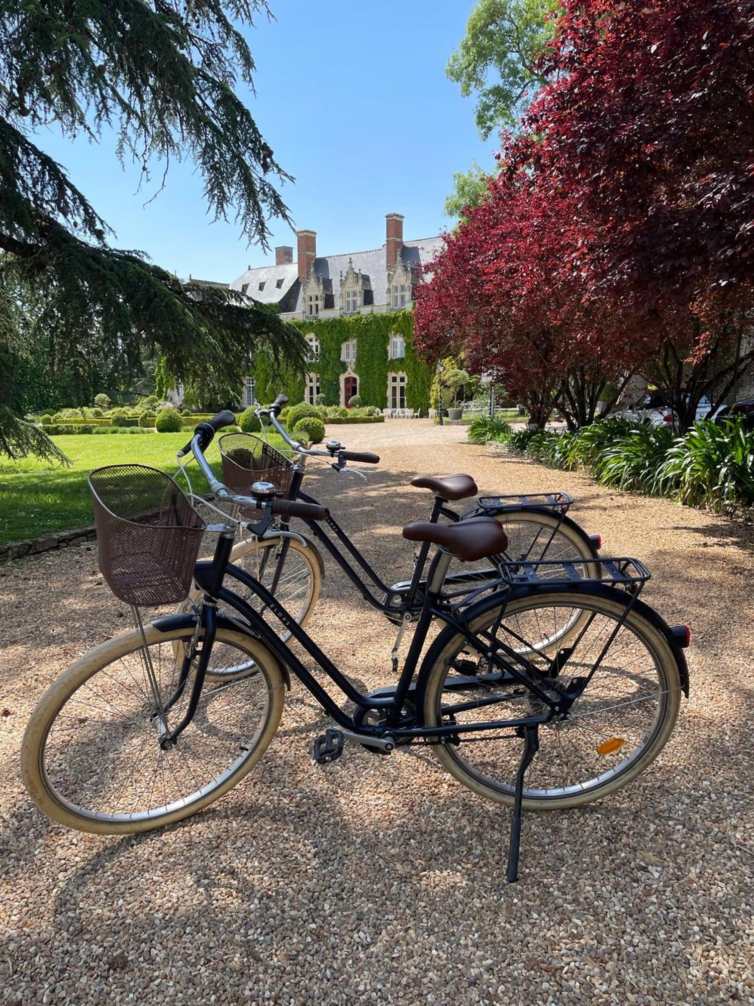Chateau De L'Epinay Saint-Georges sur Loire Luaran gambar