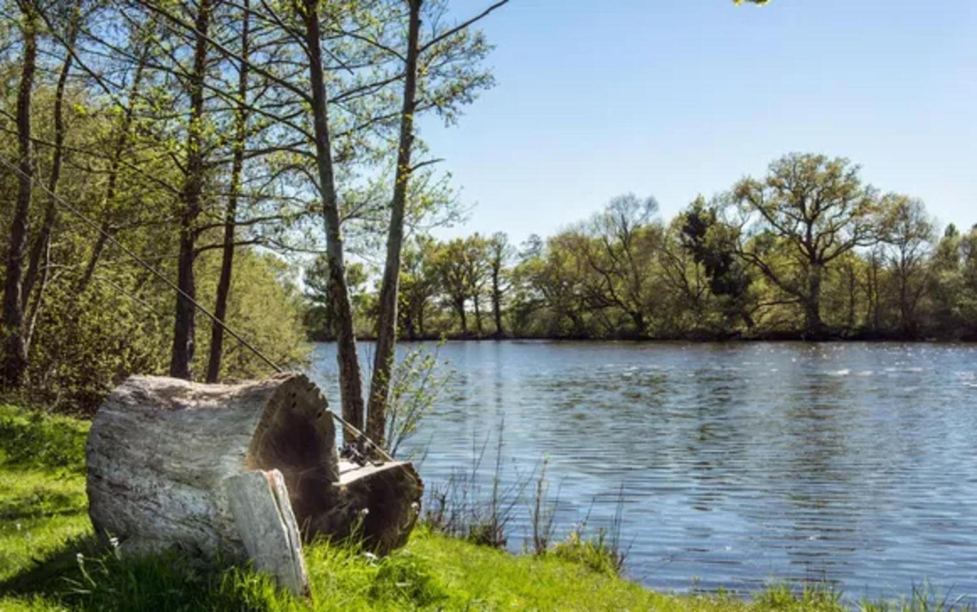 Chateau De L'Epinay Saint-Georges sur Loire Luaran gambar